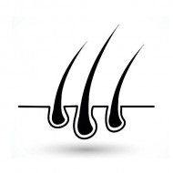 Ломкость волос (трихоклазия)