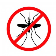 Защита от насекомых и вредителей